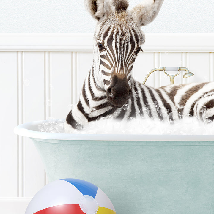 a zebra laying in a bathtub with a beach ball