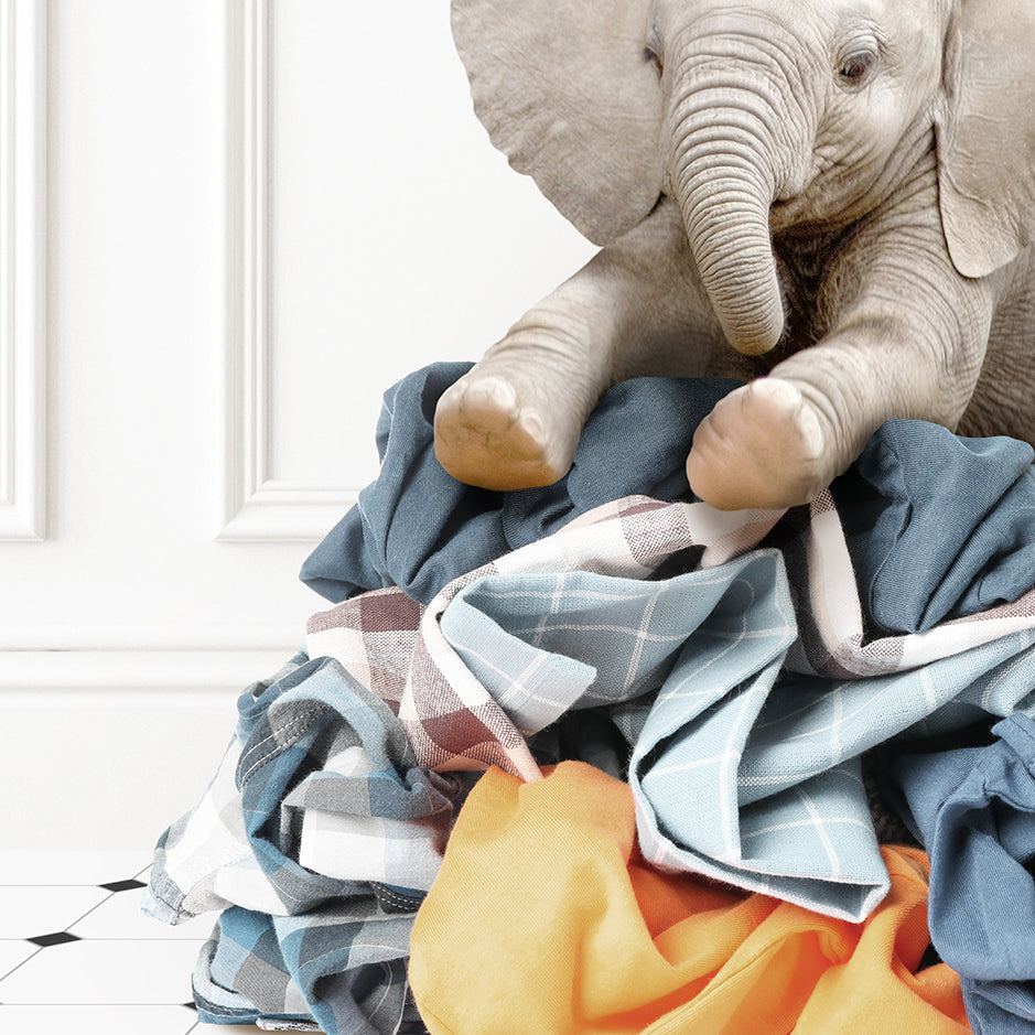 an elephant sitting on top of a pile of clothes