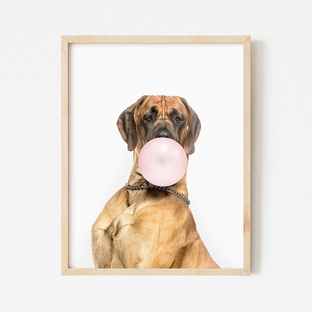 a dog with a pink bubble in its mouth