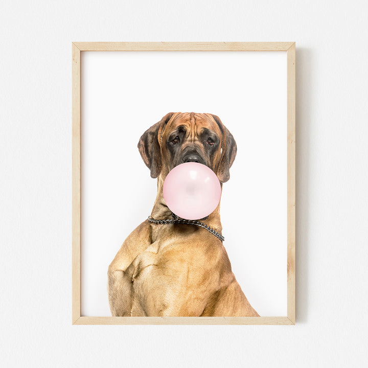 a dog with a pink bubble in its mouth