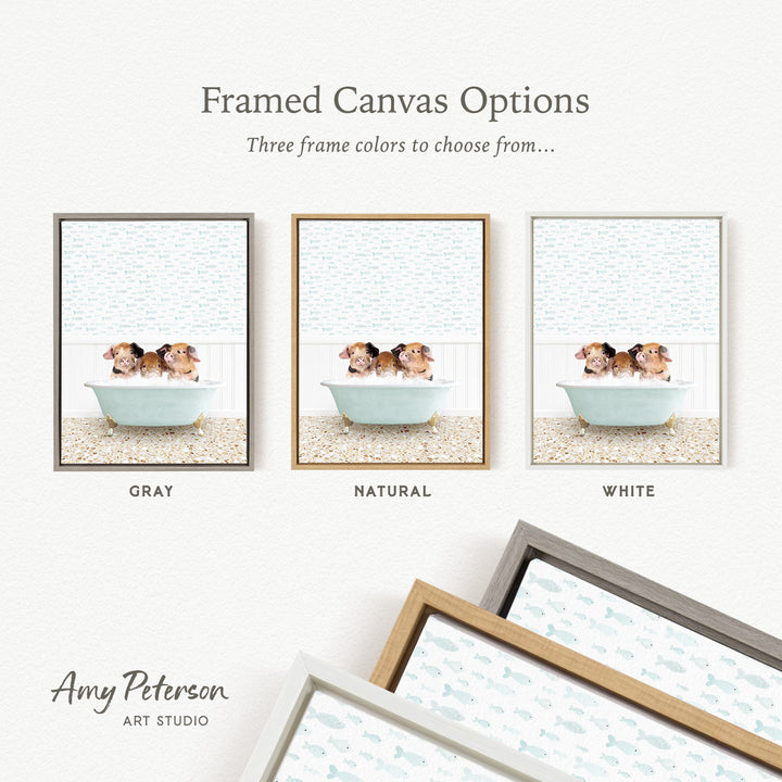three framed canvas options, each featuring a different color: gray, natural, and white. The text above the images reads " Framed Canvas Options" and "Three frame colors to choose from...". The bottom of the image includes the text " Amy Peterson ART STUDIO".