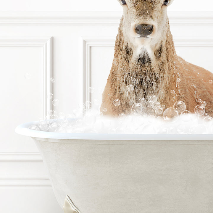 a deer is sitting in a bathtub full of bubbles