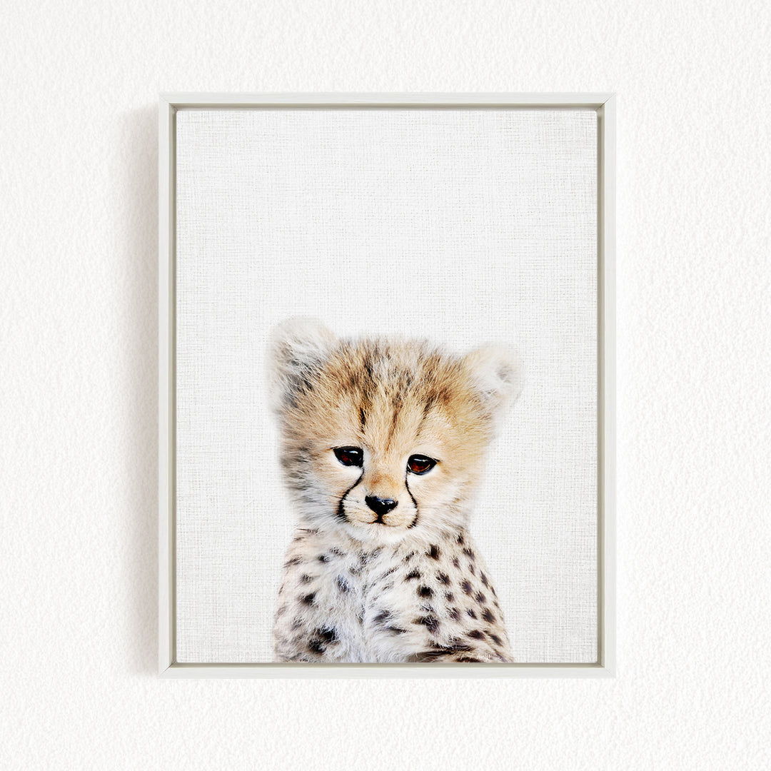 A young cheetah with a spotted coat gazes directly at the camera, its eyes full of curiosity and alertness.