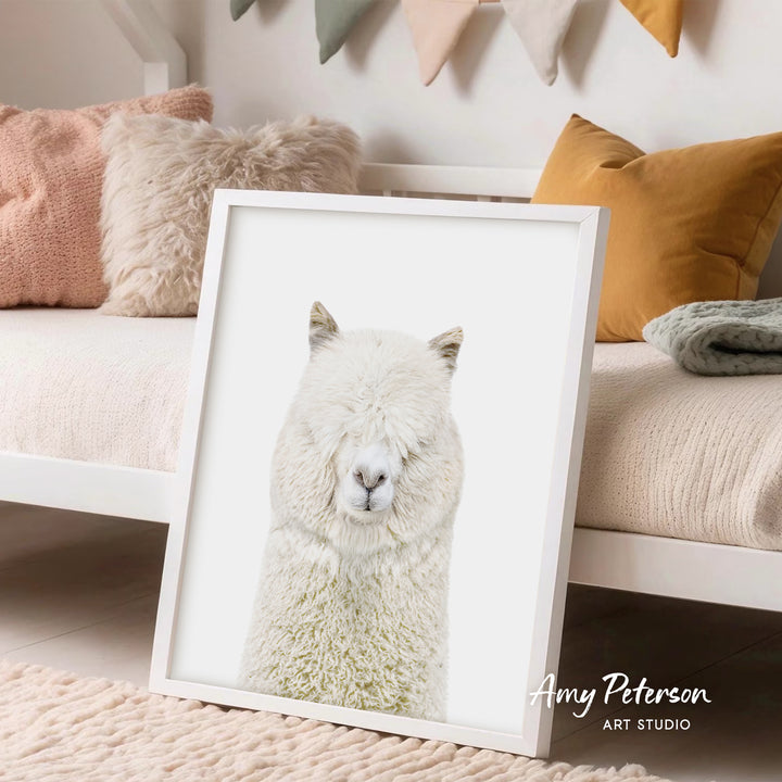 A framed image of a white alpaca is displayed in a cozy living room setting with a white couch and colorful pillows.