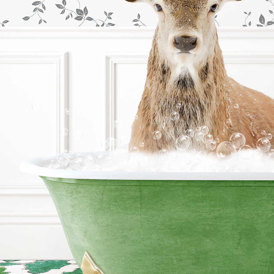 a deer in a bathtub with bubbles of water