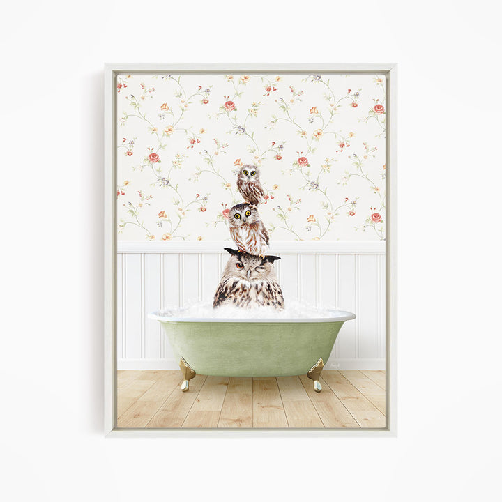 A framed image depicting three owls sitting in a green bathtub, with a floral wallpaper in the background.