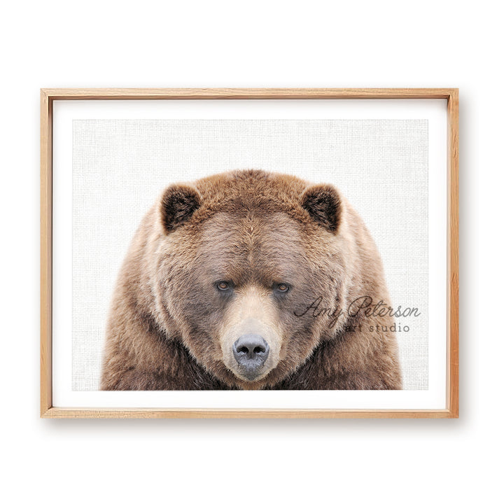 a picture of a brown bear with blue eyes