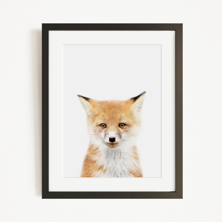 A framed photograph of a young fox with a friendly expression, looking directly at the camera.
