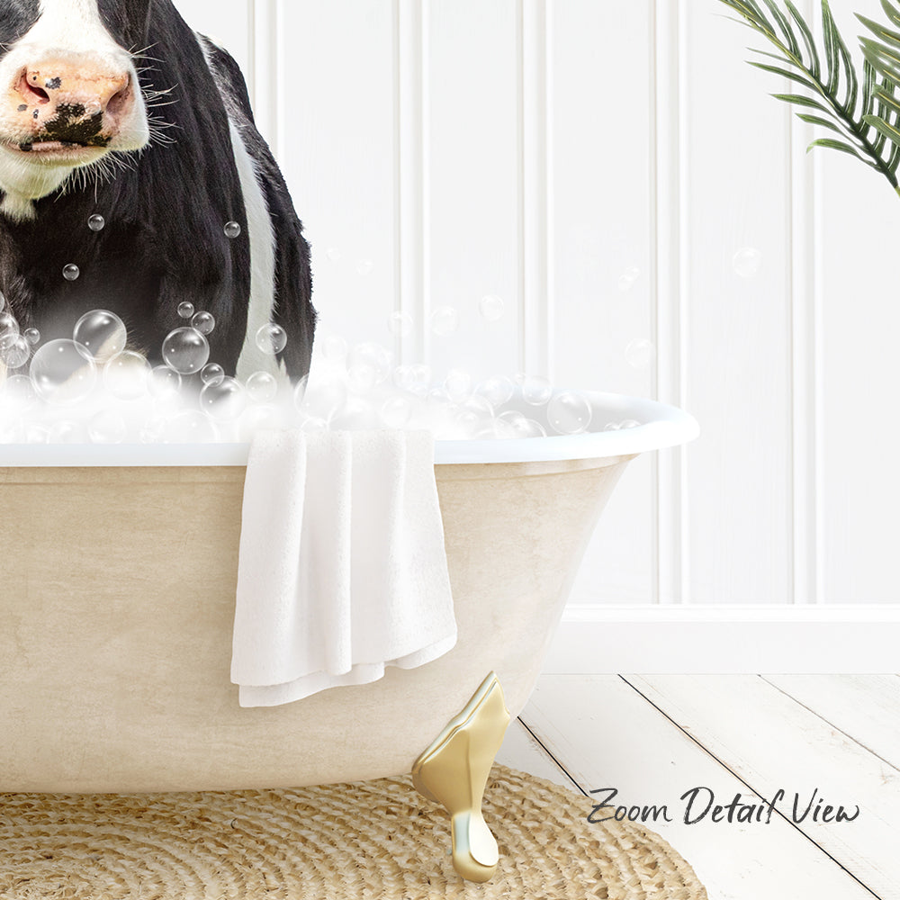 A cow is sitting in a bathtub filled with bubbles, with a towel draped over the side and a plant in the background.