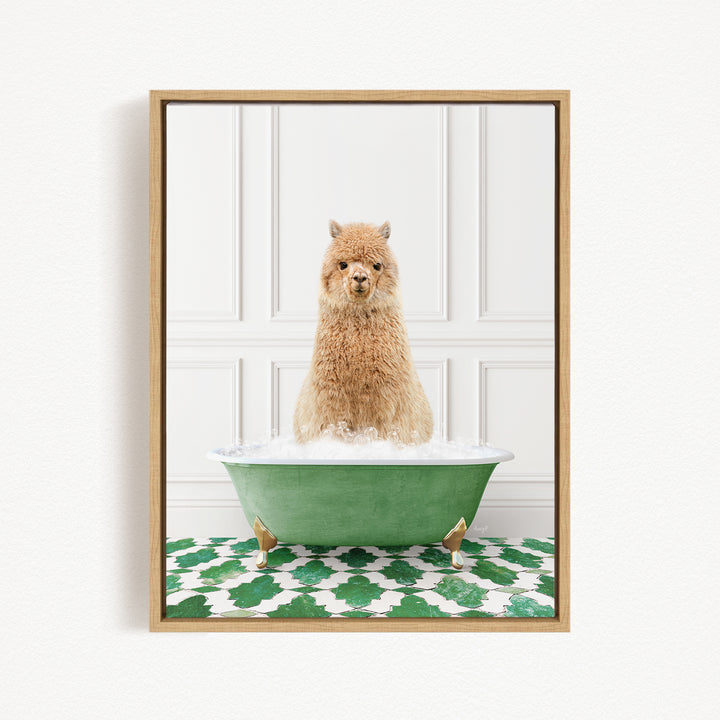 A fluffy brown dog sitting in a green bathtub filled with bubbles, with a white wall and green and white patterned floor in the background.