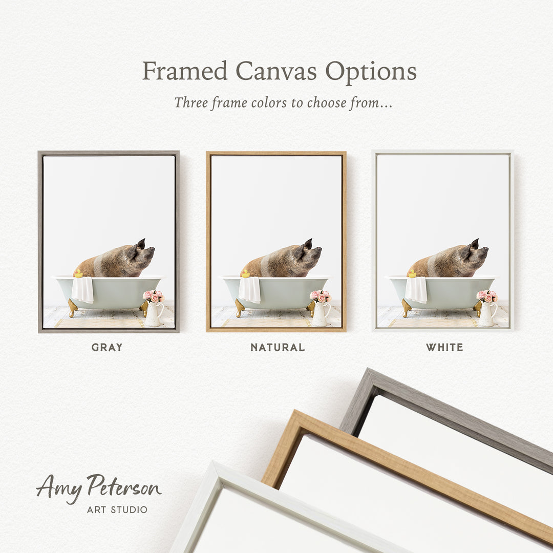 three framed canvas options, each with a different color: gray, natural, and white. The text above the images reads " framed Canvas Options" and "Three frame colors to choose from...". The text below the images reads "Grays", "Naturals", and "Whites". The artist's name, Amy Peterson, is also mentioned at the bottom of the image.