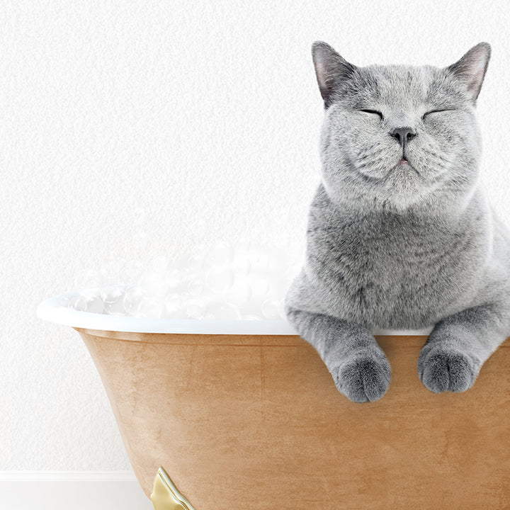 a cat is sitting in a bathtub with ice