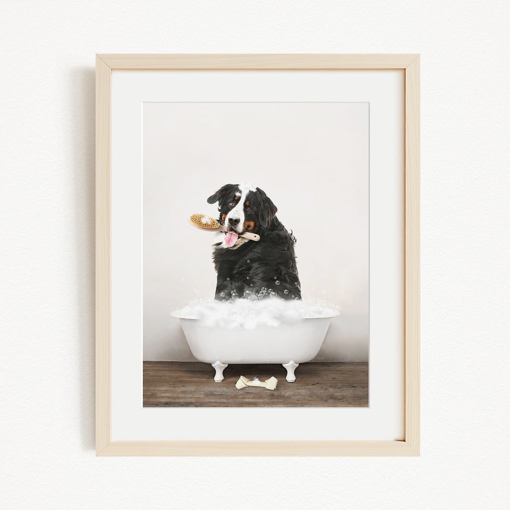 A black and white dog sitting in a white bathtub filled with bubbles, holding a toy in its mouth.