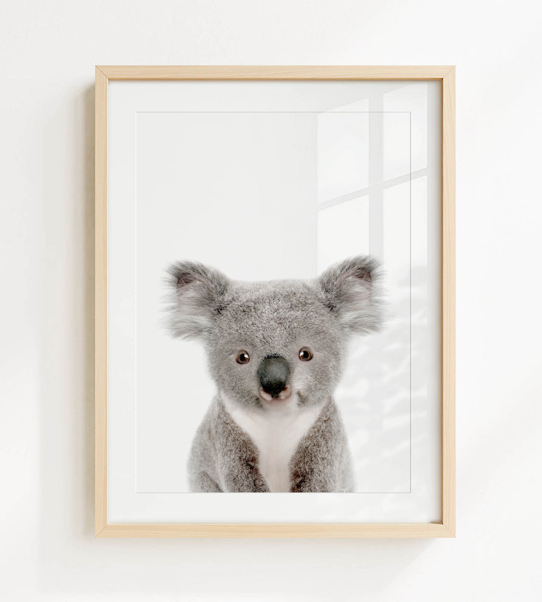 A framed photograph of a koala bear with a curious expression, looking directly at the camera.