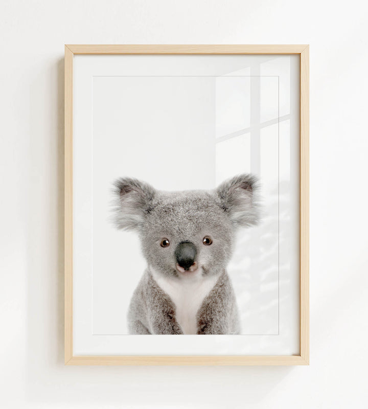 A framed photograph of a koala bear with a curious expression, looking directly at the camera.