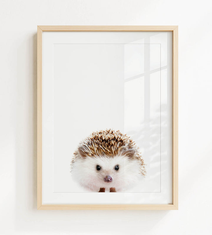 A framed image of a cute hedgehog with a white and brown color pattern and small black eyes.