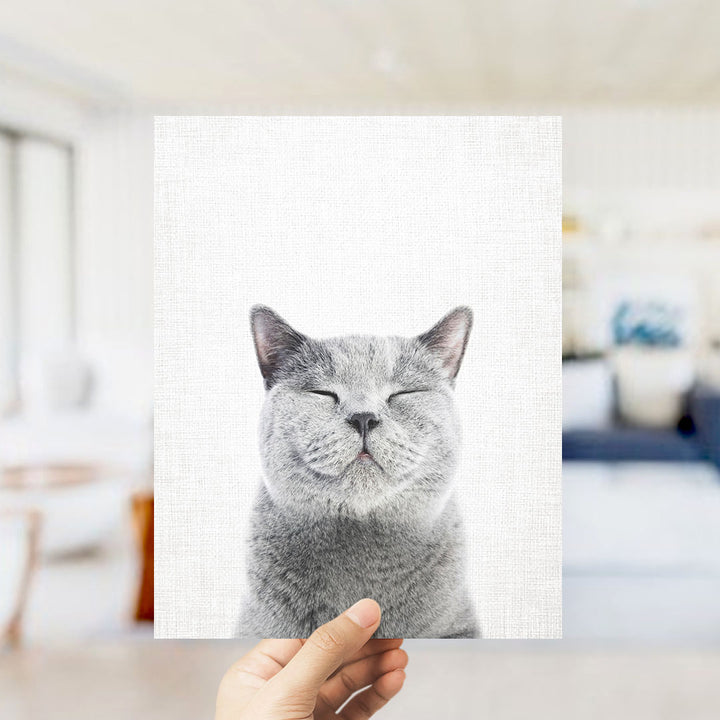 A hand is holding up a framed photograph of a gray cat with its eyes closed, appearing to be in a relaxed and content state.
