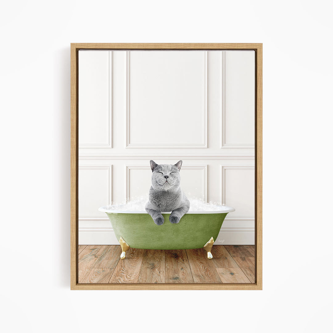 A gray cat sitting in a green bathtub filled with bubbles, with a white wall and wooden floor in the background.