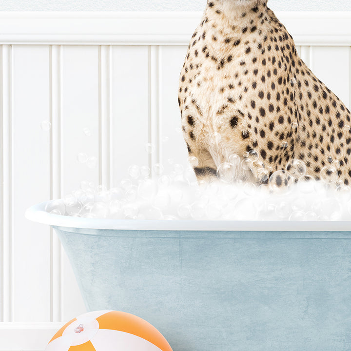 a cheetah sitting in a bathtub full of foam