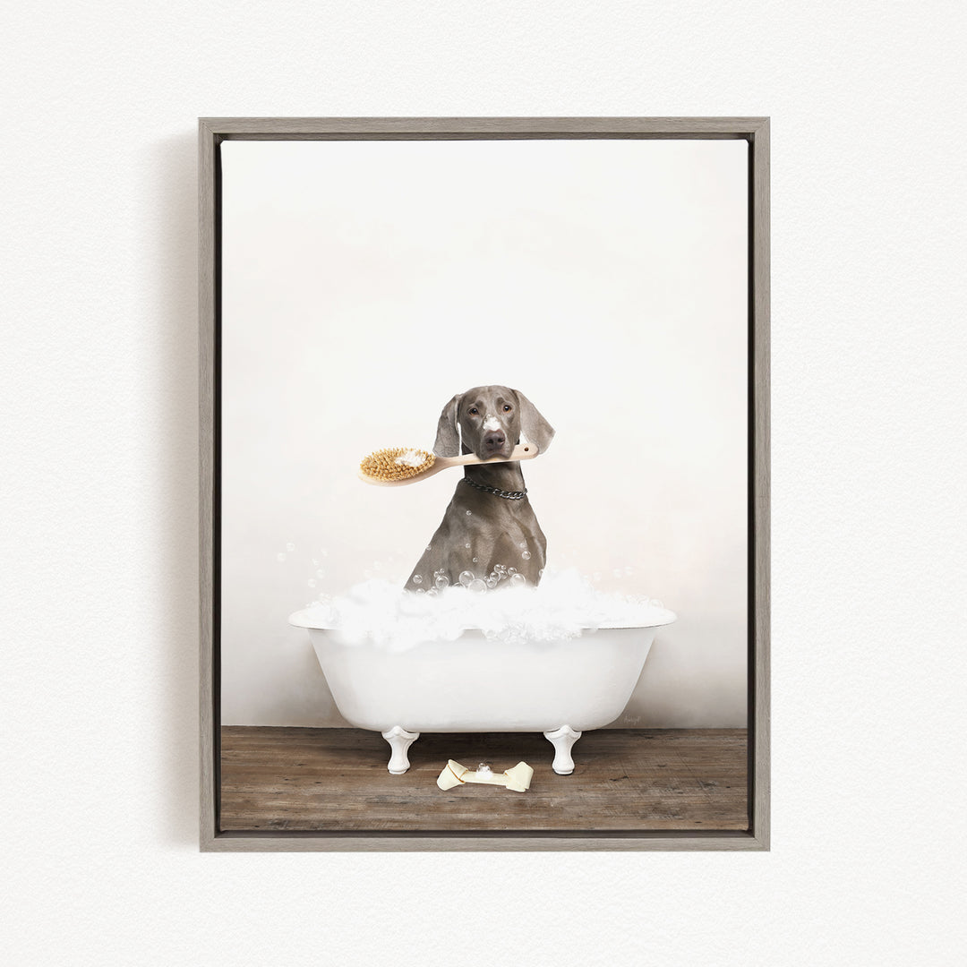 A dog sitting in a white bathtub, holding a brush in its mouth.