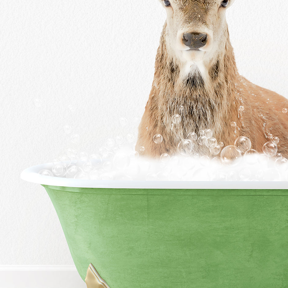 a deer is sitting in a bathtub full of bubbles