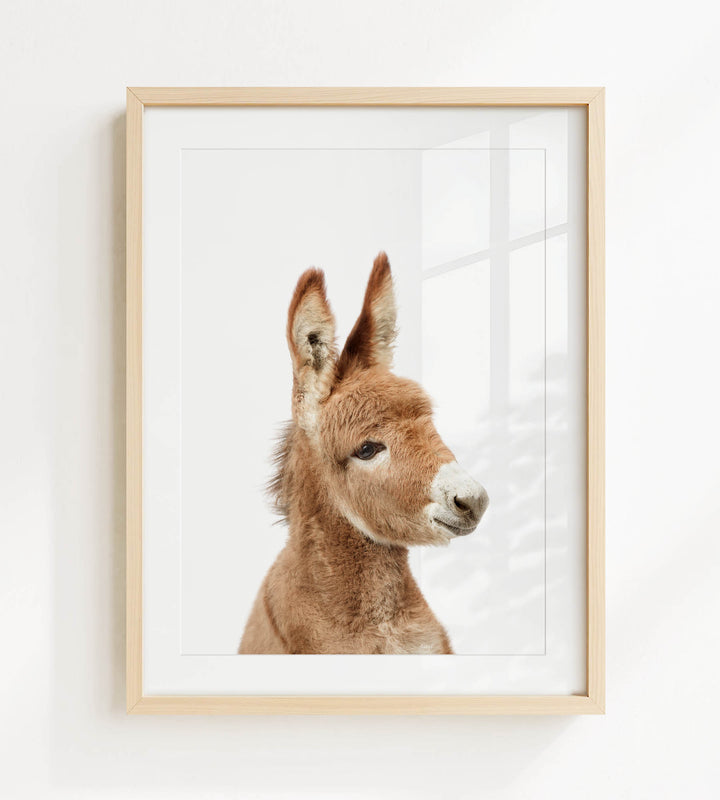 A framed photograph of a donkey's head, with its distinctive features such as large ears and a small white nose clearly visible.