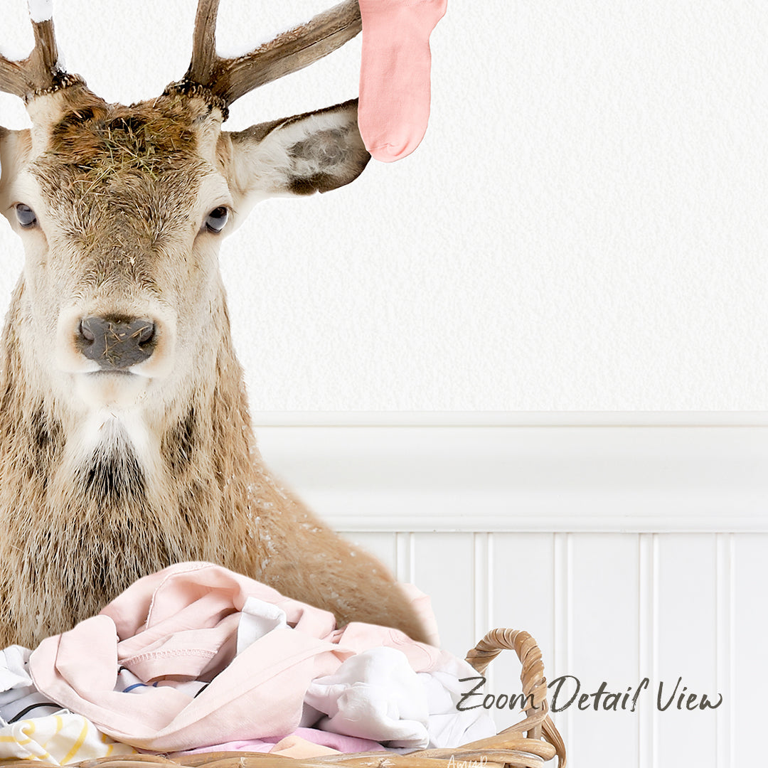 A deer head is shown in the image, with a pink sock hanging from its ear.