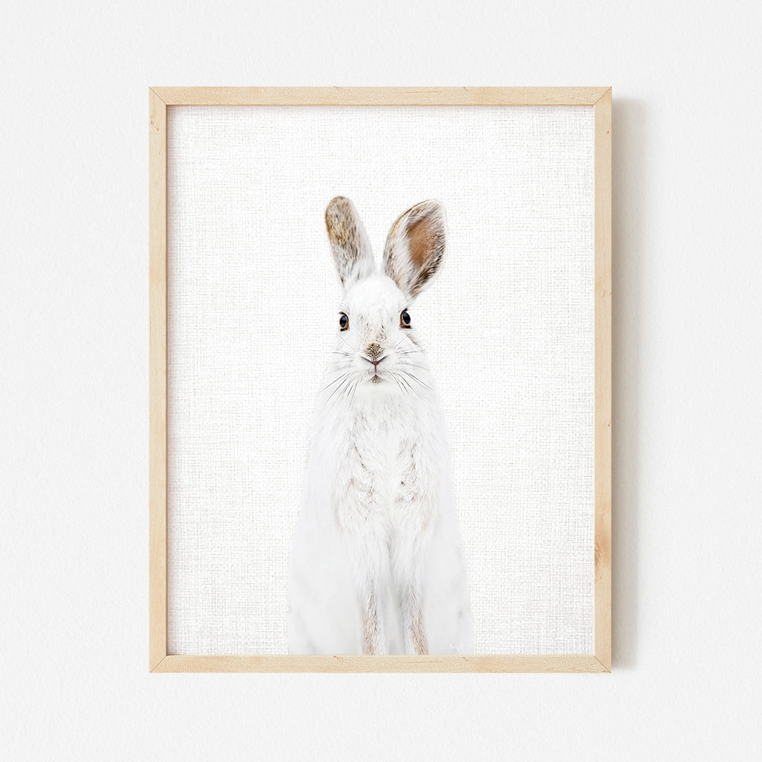 a picture of a white rabbit in a wooden frame