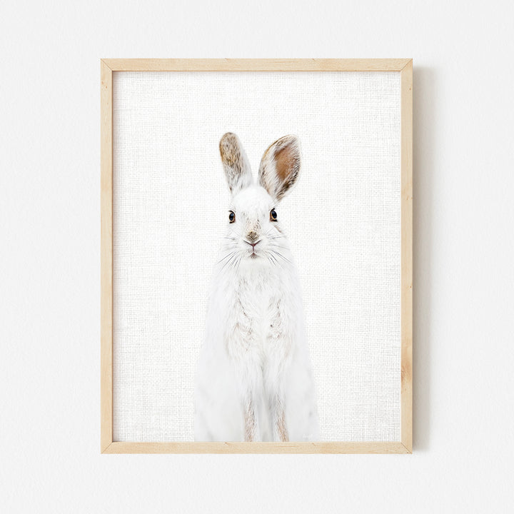 a picture of a white rabbit in a wooden frame