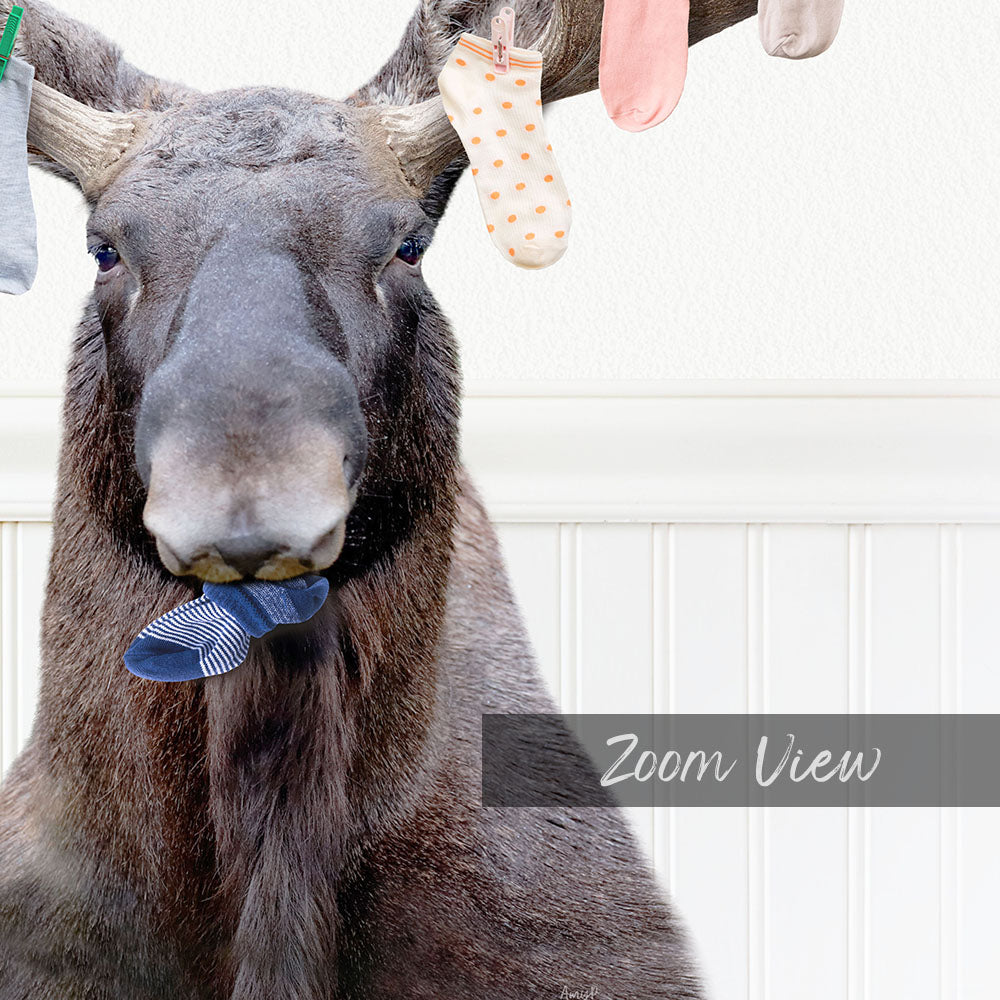 A close-up of a moose's head, with its mouth open and tongue sticking out, against a white background with a line of socks hanging from a clothesline.