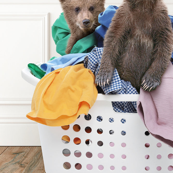 two brown bears sitting in a laundry basket