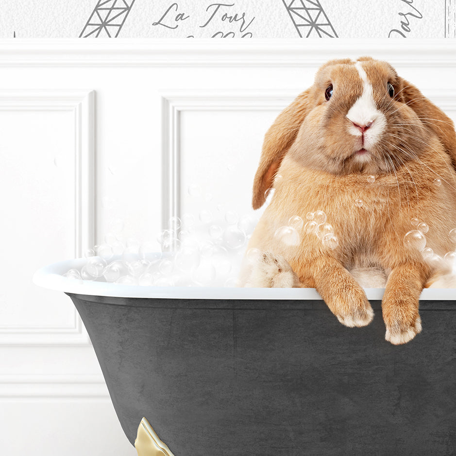 a rabbit sitting in a bathtub full of bubbles