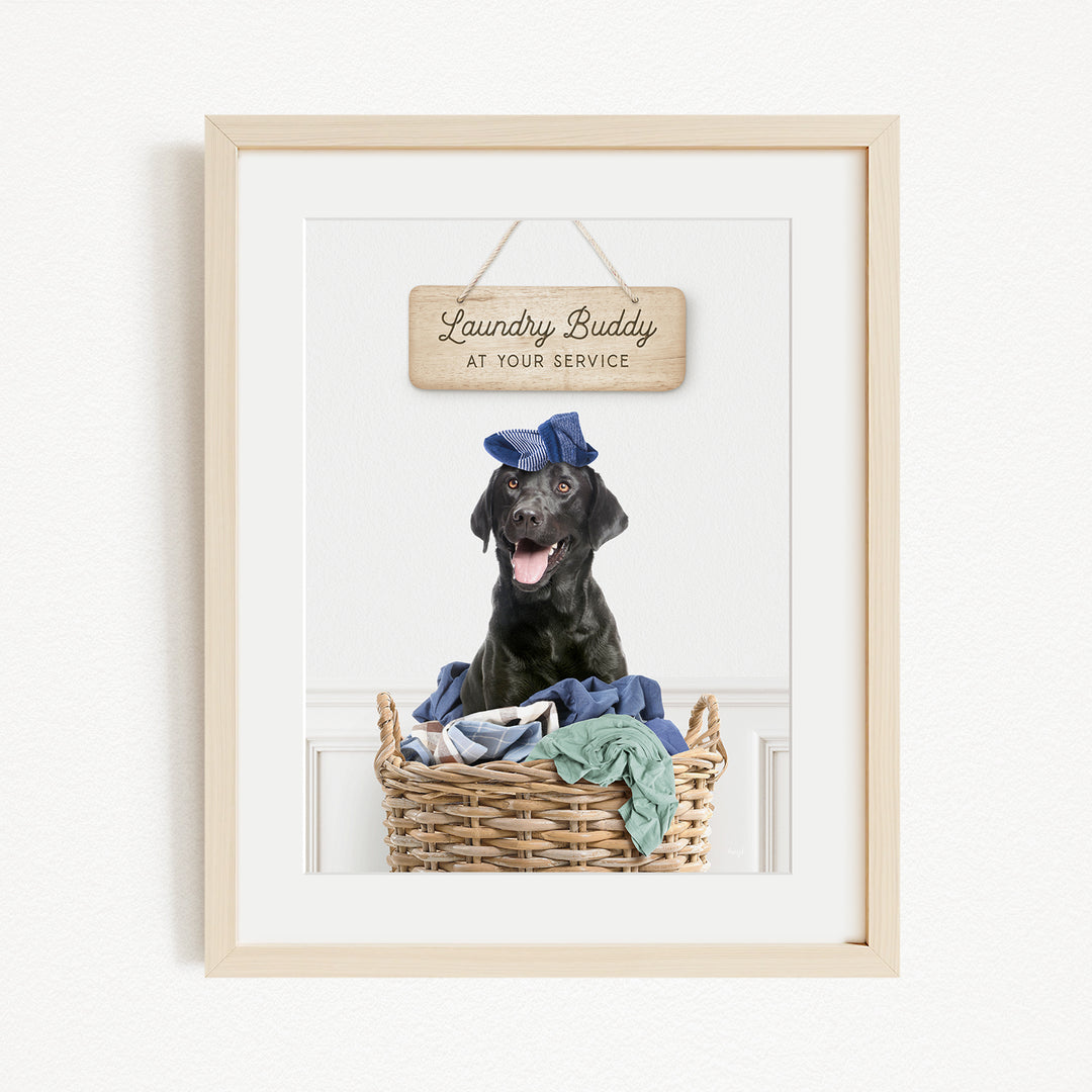 A framed photo of a black dog sitting in a wicker laundry basket, wearing a blue hat and surrounded by clothes.