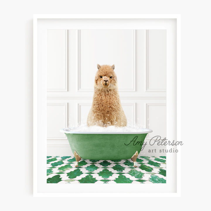 a brown dog sitting in a green bath tub