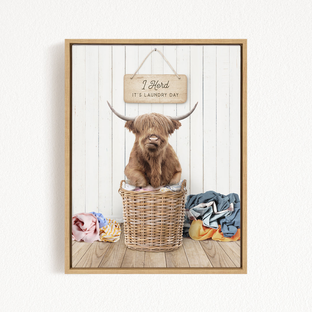 A brown Highland cow with large horns sits in a wicker basket, with a sign above it that says "I herd it's laundry day".