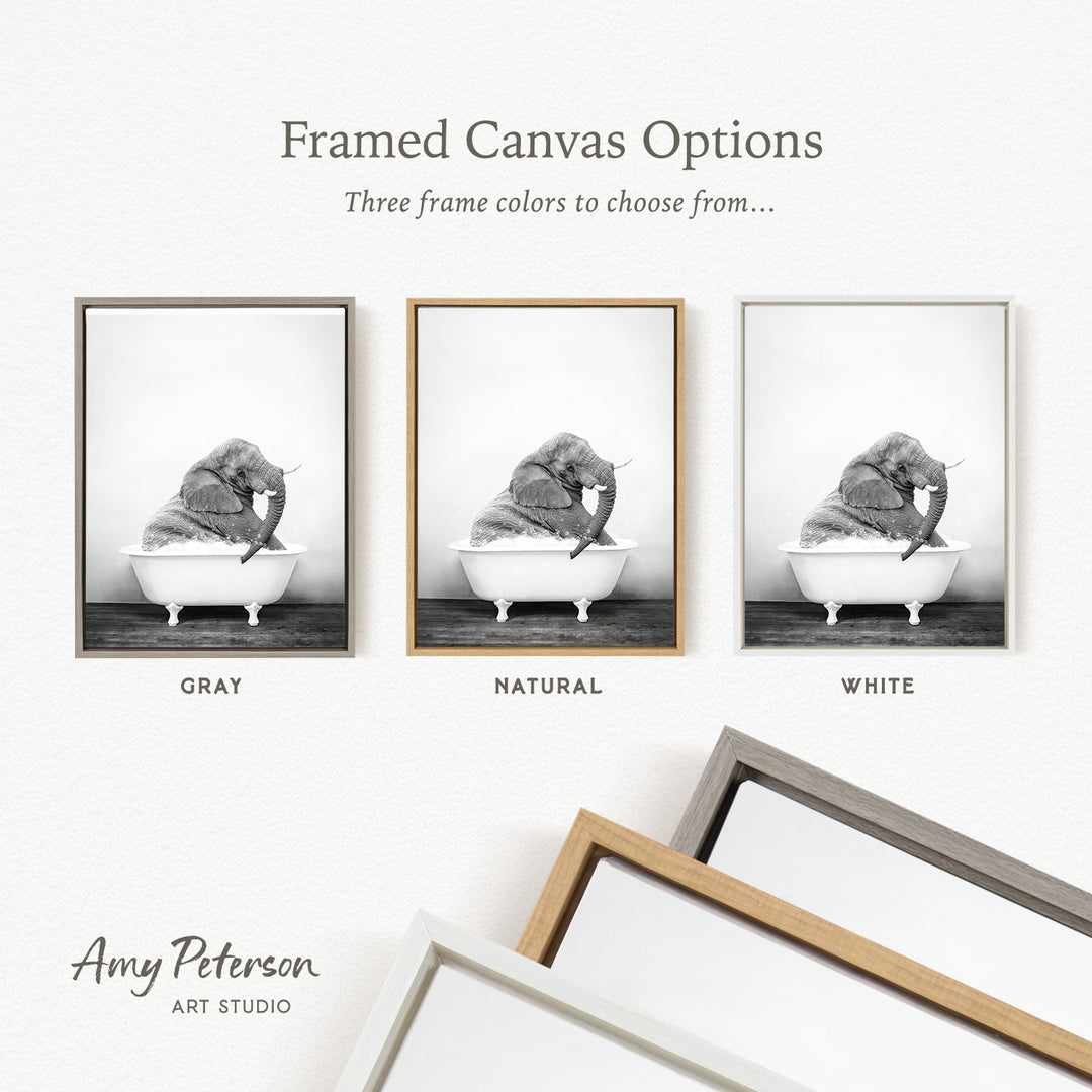 three framed canvas options, each featuring a black and white photograph of an elephant sitting in a bathtub. The options include a gray frame, a natural frame, and a white frame.