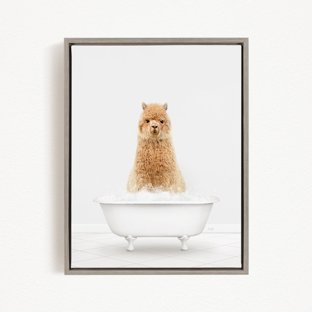 A fluffy brown alpaca sitting in a white bathtub filled with bubbles, looking directly at the camera.