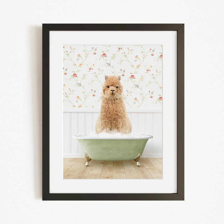 A fluffy brown dog sitting in a green bathtub filled with bubbles, with a floral wallpaper in the background.