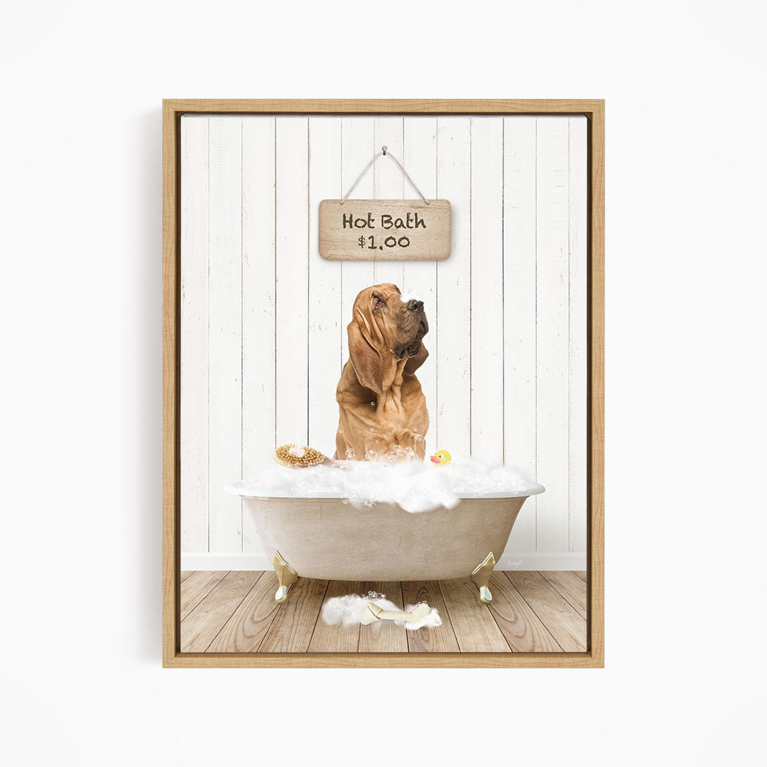 A brown dog sitting in a white bathtub filled with bubbles, with a sign above the tub that reads "Hot Bath $1.00".