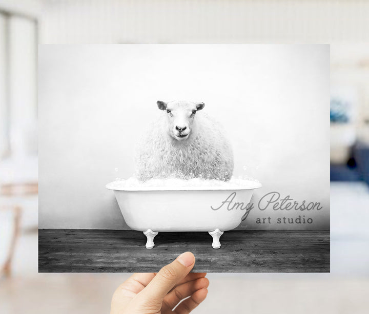 a hand holding up a black and white photo of a sheep in a bathtub