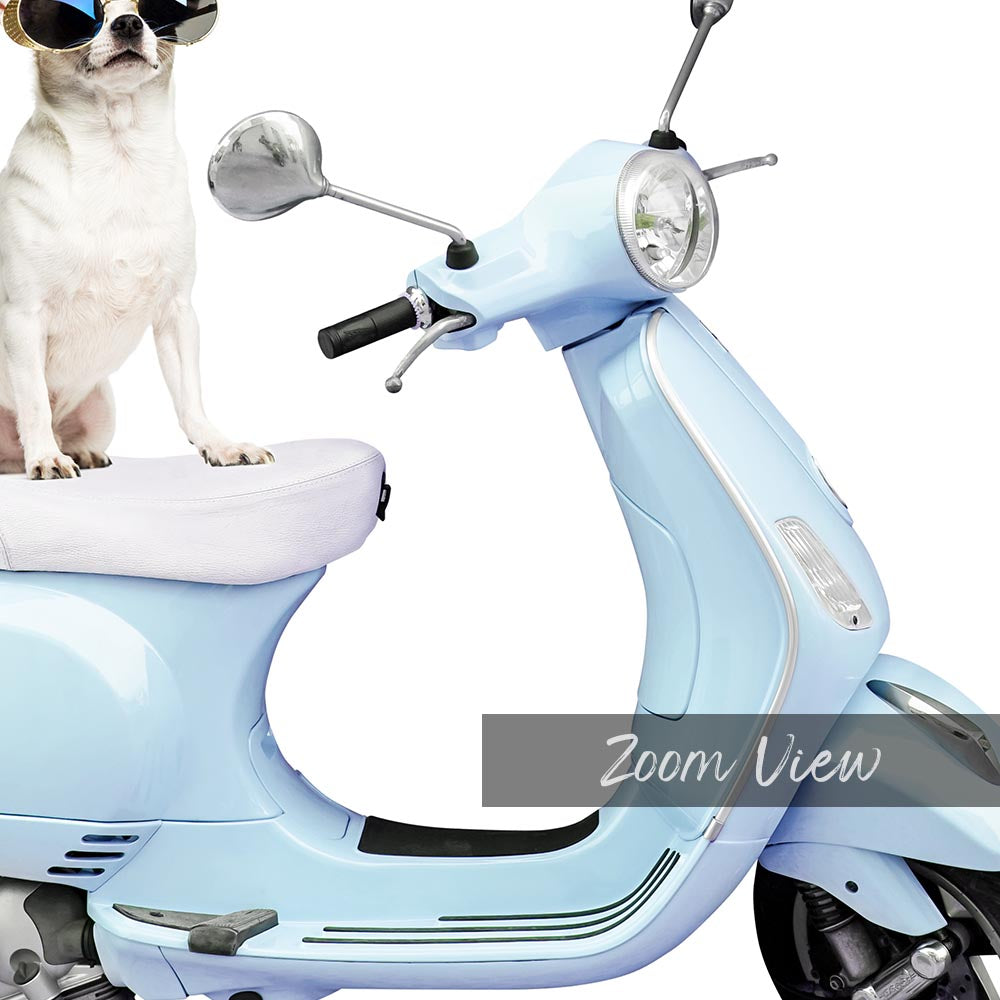 a small dog wearing sunglasses sitting on a scooter