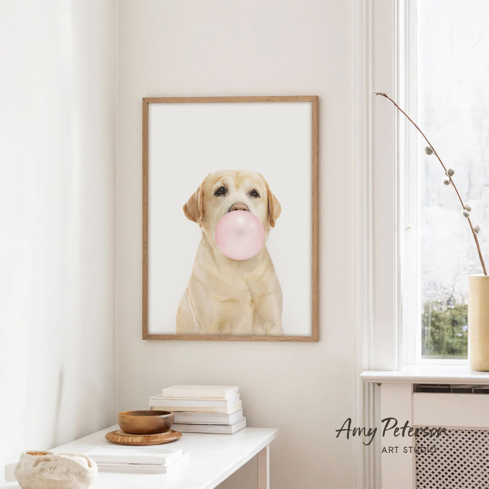 A framed photograph of a yellow Labrador Retriever blowing a bubble with a pink bubble gum bubble is hanging on a white wall in a room with a white table and a window.
