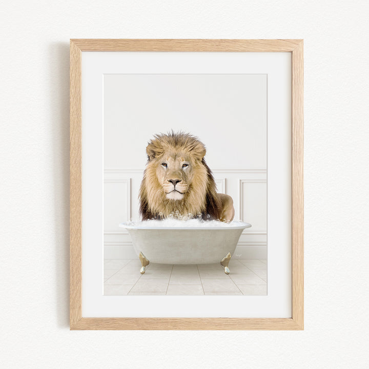 A lion sitting in a bathtub filled with water, looking directly at the camera.