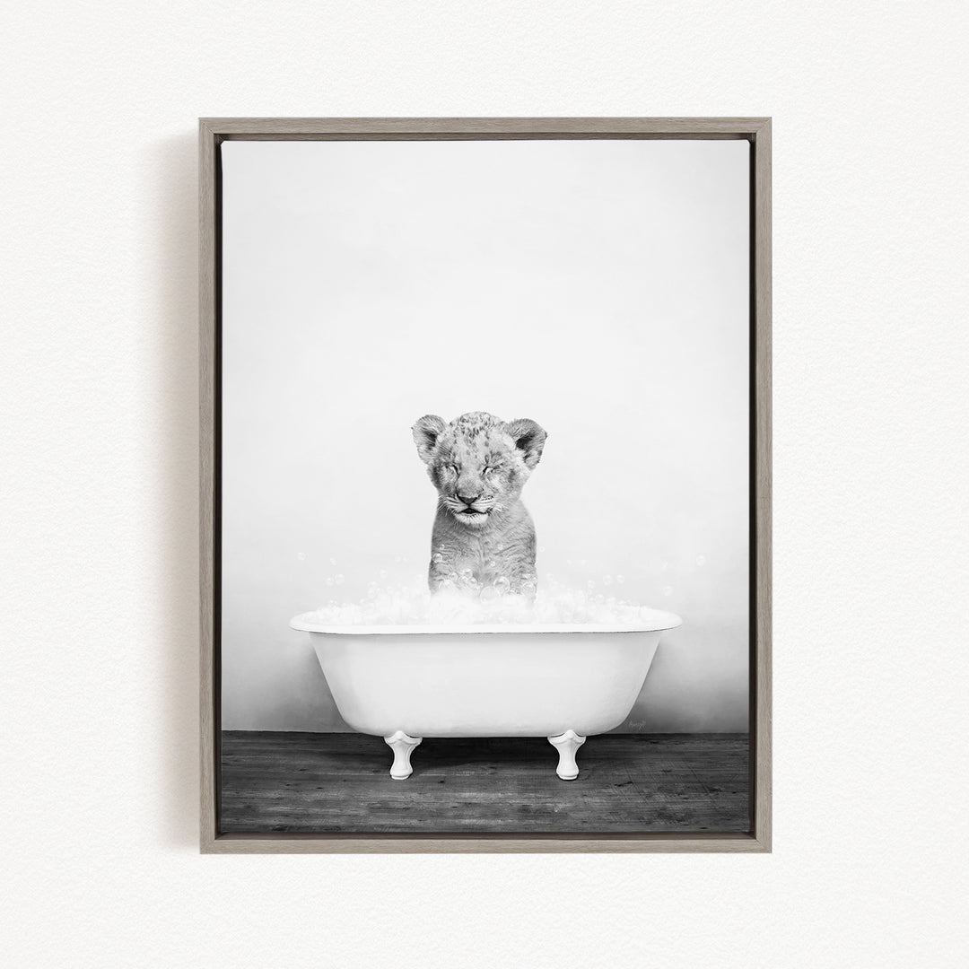 A young lion cub sitting in a white bathtub filled with water, looking up at the camera.