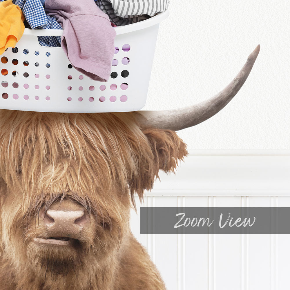 A Highland cow with shaggy fur and a basket of laundry on its head, with the text "Zoom View" below the image.