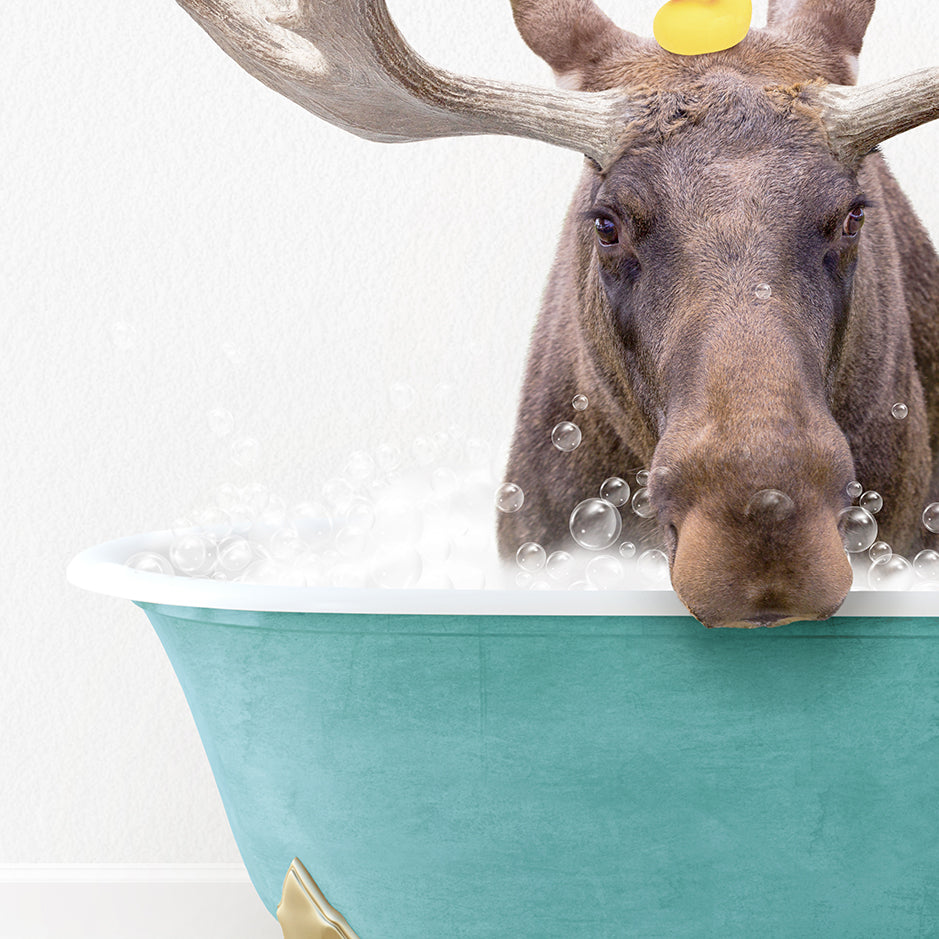 a moose in a bathtub with bubbles on its head