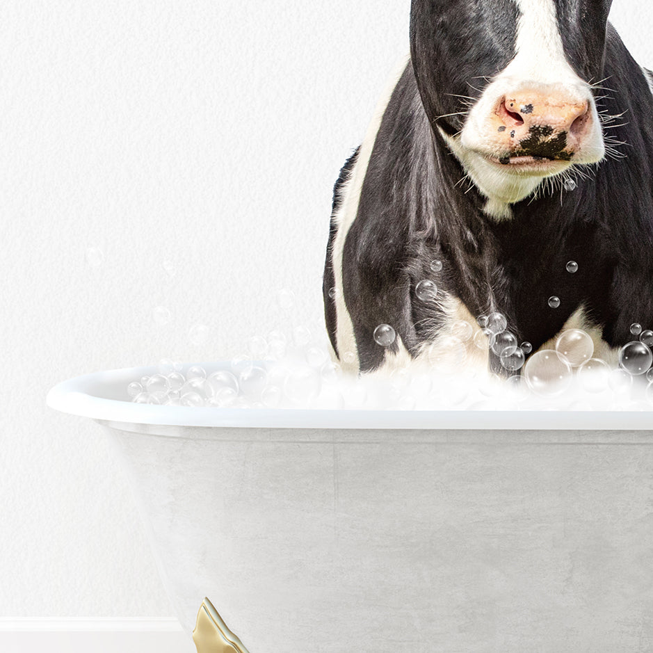 a black and white cow in a bathtub with bubbles