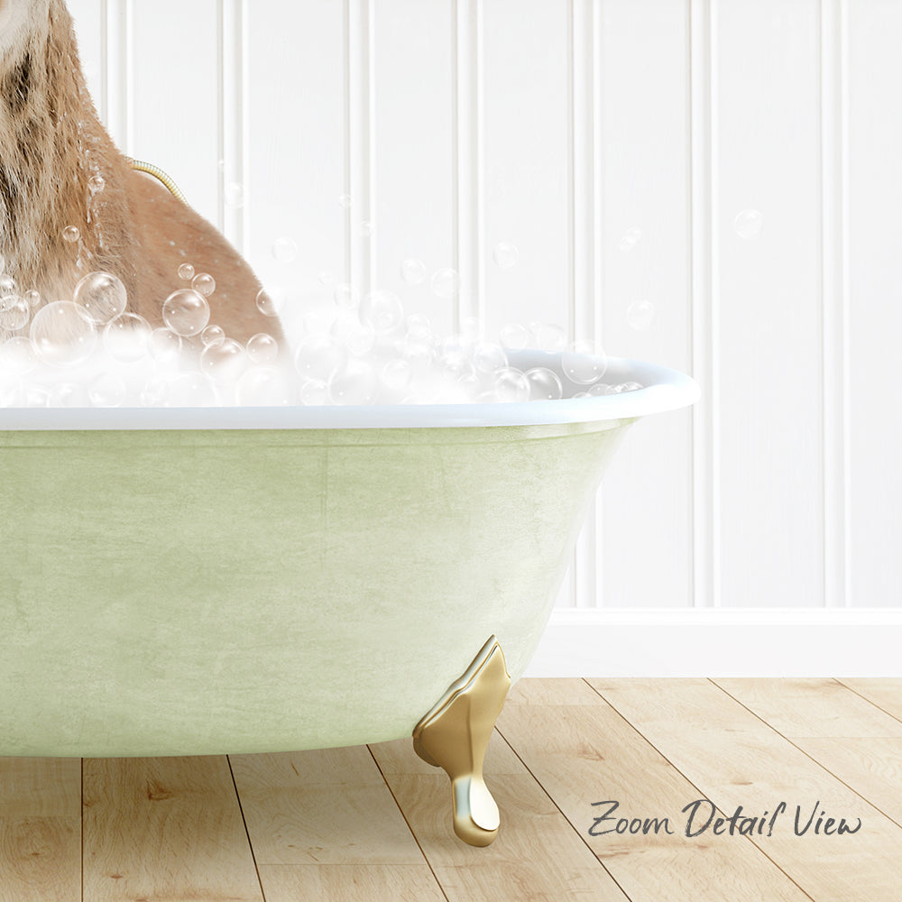 A dog is sitting in a green bathtub filled with bubbles, enjoying a relaxing bath.