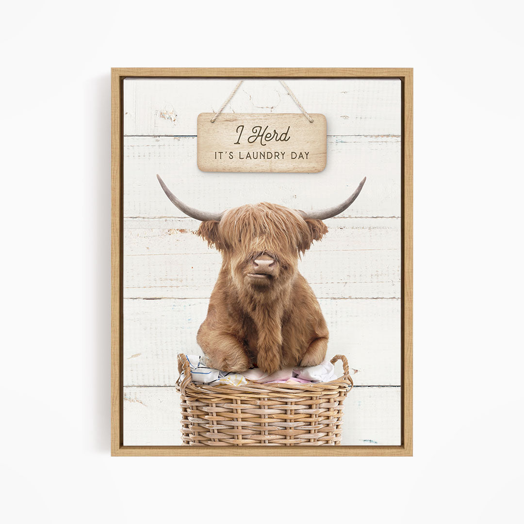 A framed image of a Highland cow sitting in a wicker basket, with a sign above it that says "It's laundry day".