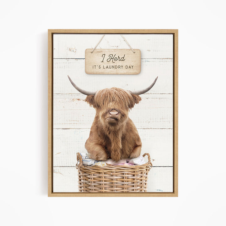 A framed image of a Highland cow sitting in a wicker basket, with a sign above it that says "It's laundry day".